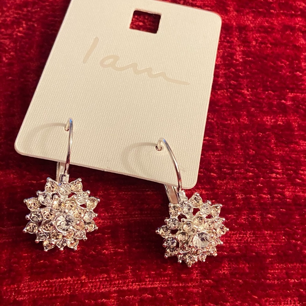 NWT EARRINGS